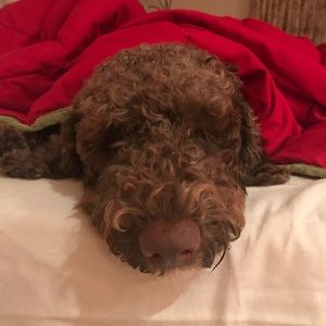 Meet your Posher, Karyn